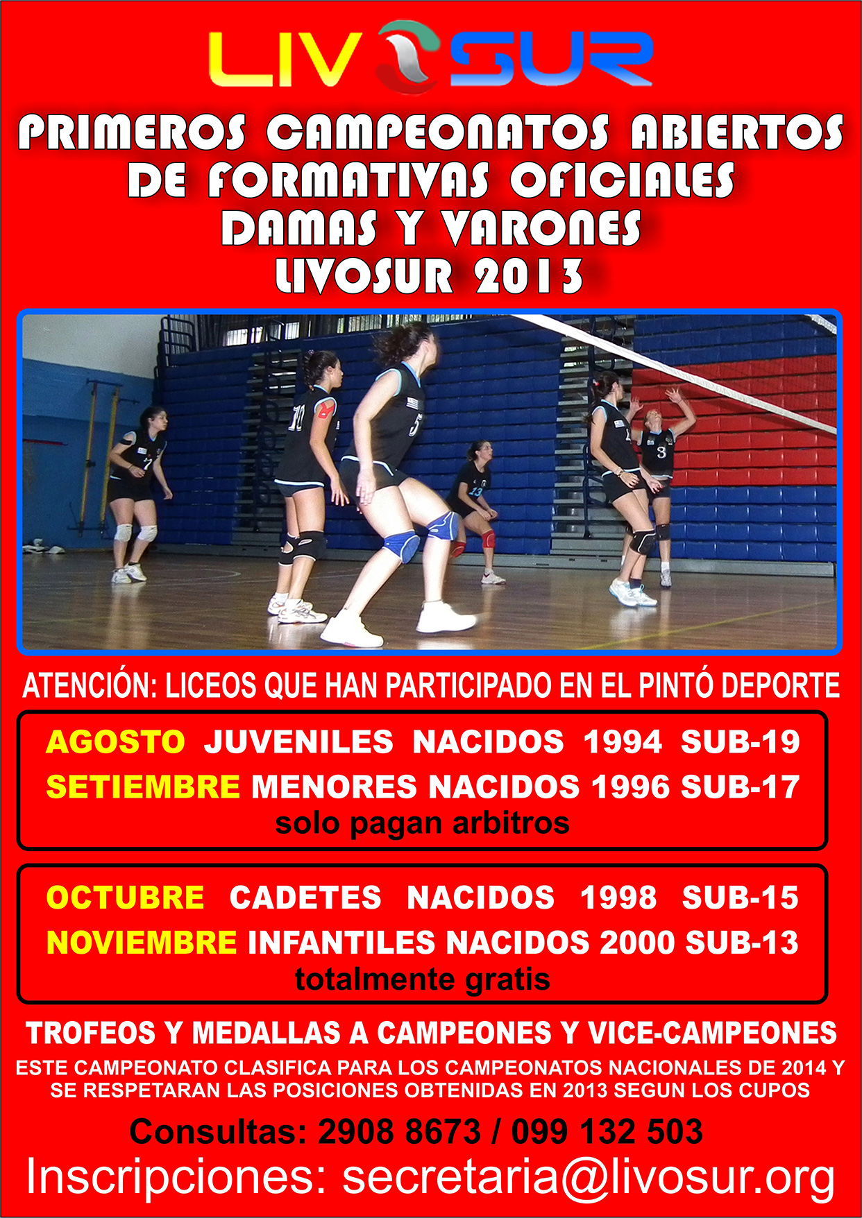 AFICHE-TORNEOS-JUVENILES-2013