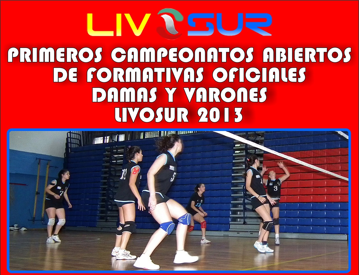 AFICHE TORNEOS JUVENILES 2013 ch